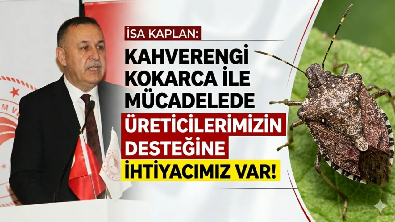 Akçaabat'ta Üreticilere Fide ve Yağmursuyu Hasadı Deposu Desteği