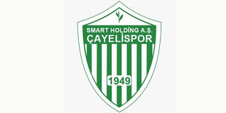 Çayelispor Olağanüstü Genel Kurulu 4 Temmuz'da Yapılacak