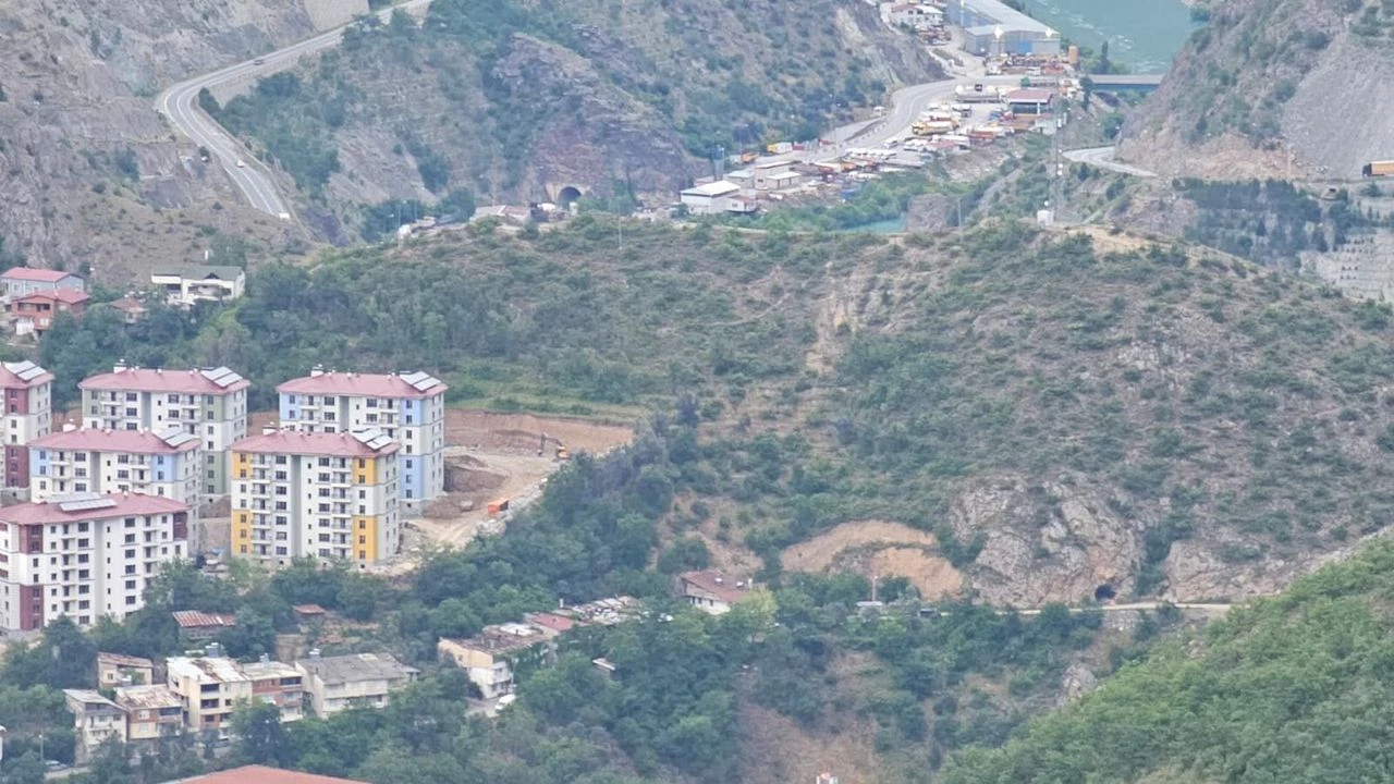 Milletvekili Çelik: