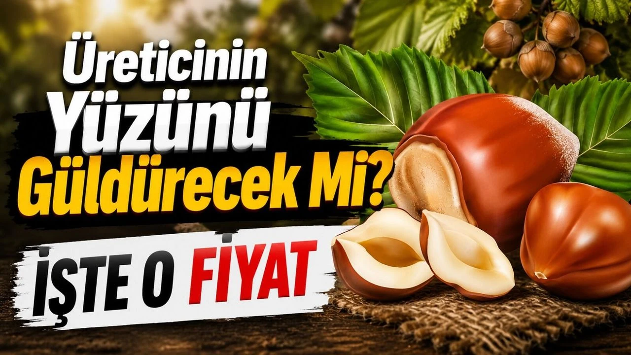 Fındık Fiyatları Üreticinin Yüzünü Güldürecek Mi? İşte O Fiyatlar…