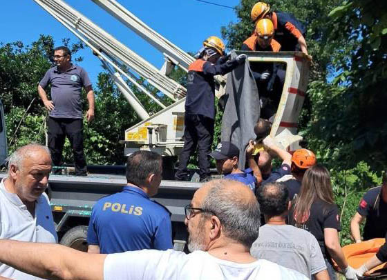 Rize'de Ihlamur Toplarken Elektrik Akımına Kapılan Vatandaş Hayatını Kaybetti