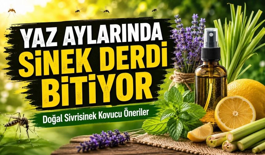 Yaz Aylarında Sinek Derdi Bitiyor: Doğal Sivrisinek Kovucu Öneriler