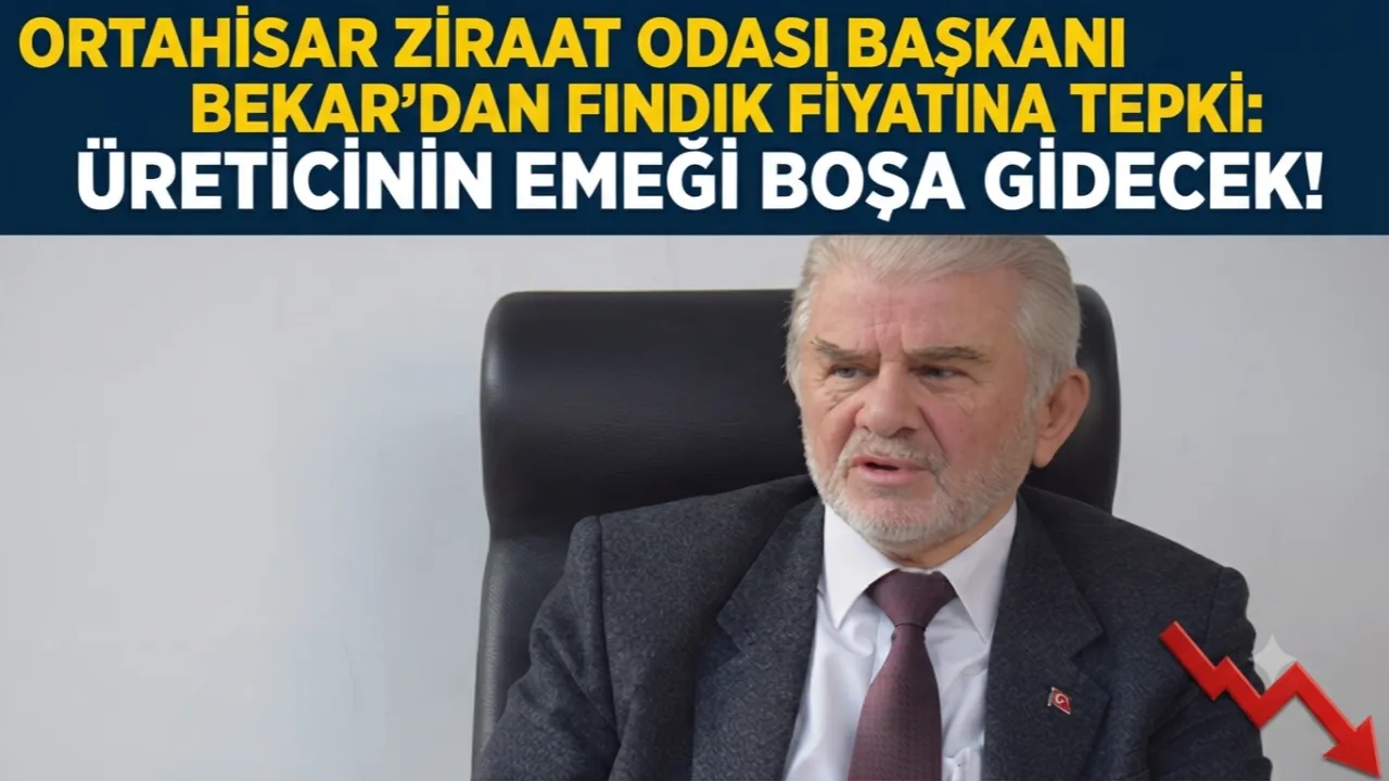 ORTAHİSAR ZİRAAT ODASI BAŞKANI BEKAR'DAN FINDIK FİYATINA TEPKİ!