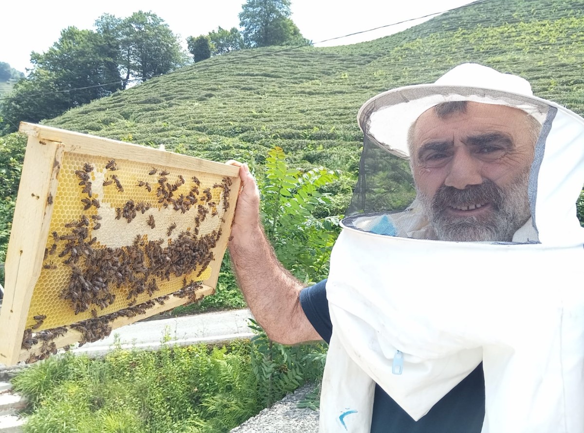 Arılar Petekte Türkiye Haritası Oluşturdu