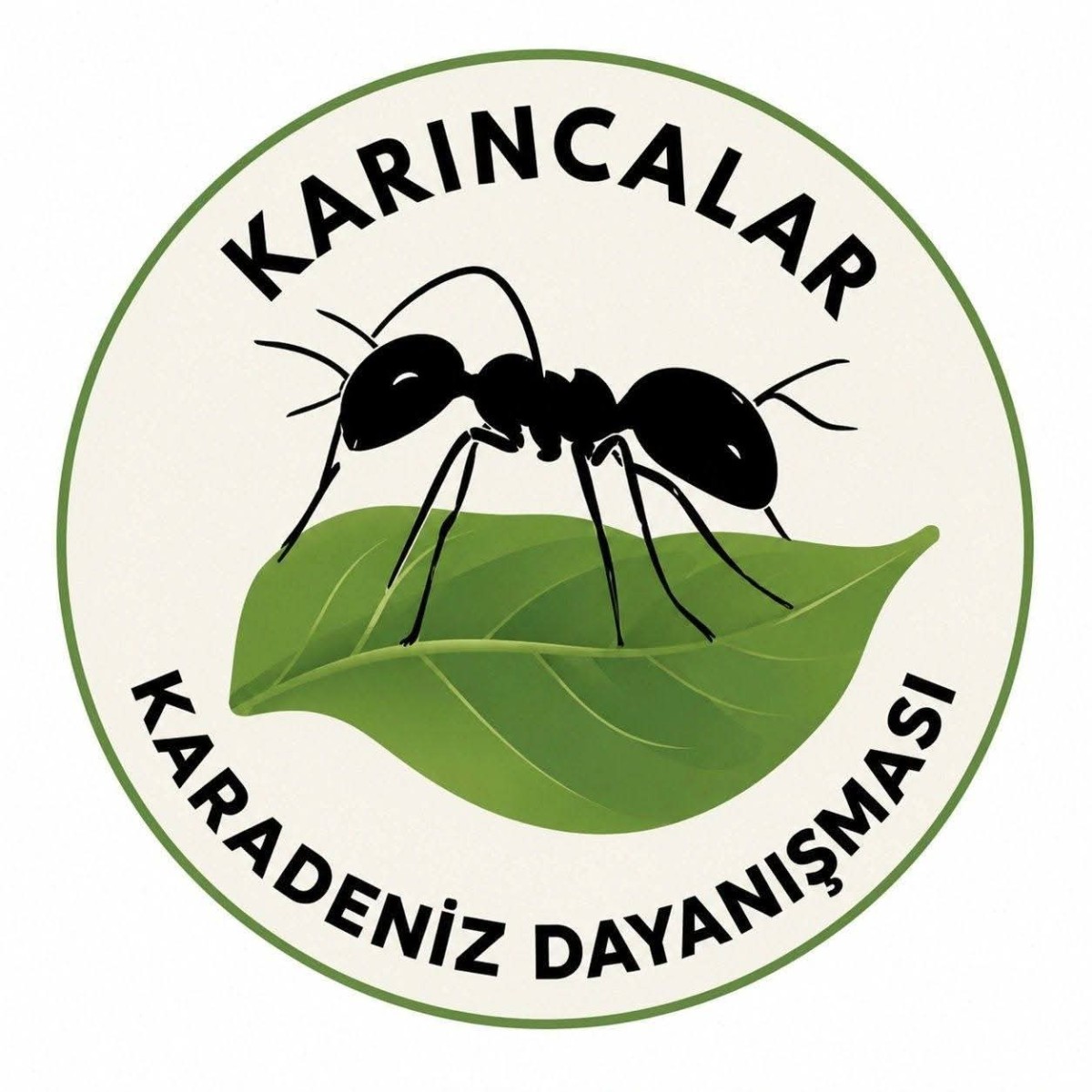 Cop31 İklim Zirvesi’ne Alternatif Zirve