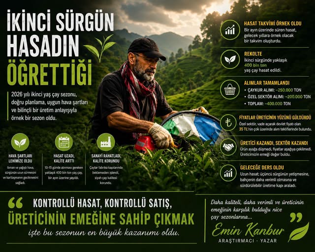 2026’nın İkinci Sürgünü Tamamlandı: Çay Sezonunda Örnek Tablo