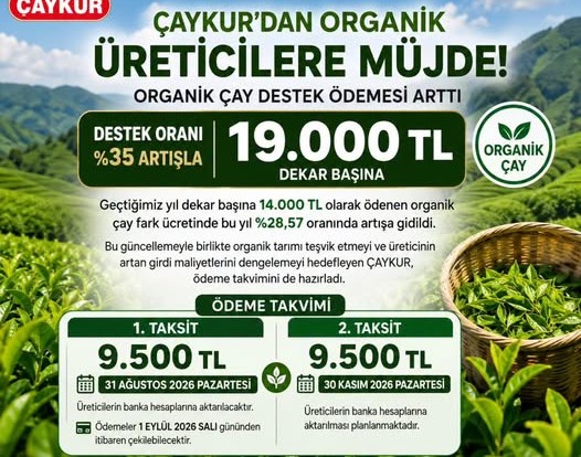 ÇAYKUR’dan Organik Çay Üreticilerine Destek Artışı