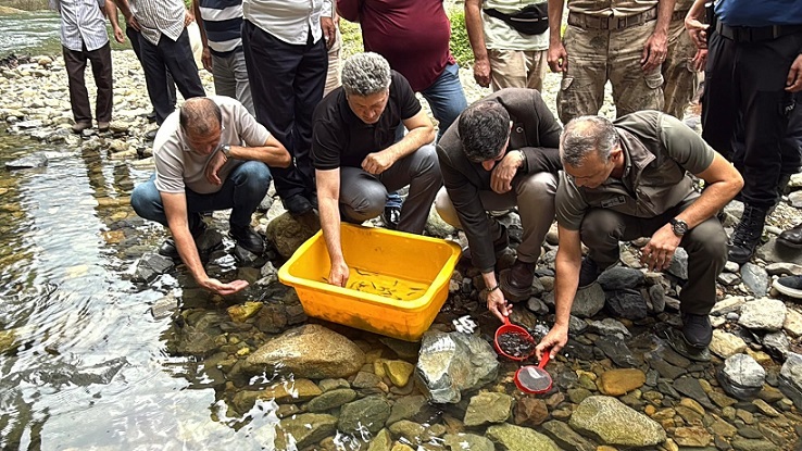 Güneysu’da Alabalık Projesi: Başkan’dan Teşekkür, Muhtar’dan Ceza Hatırlatması