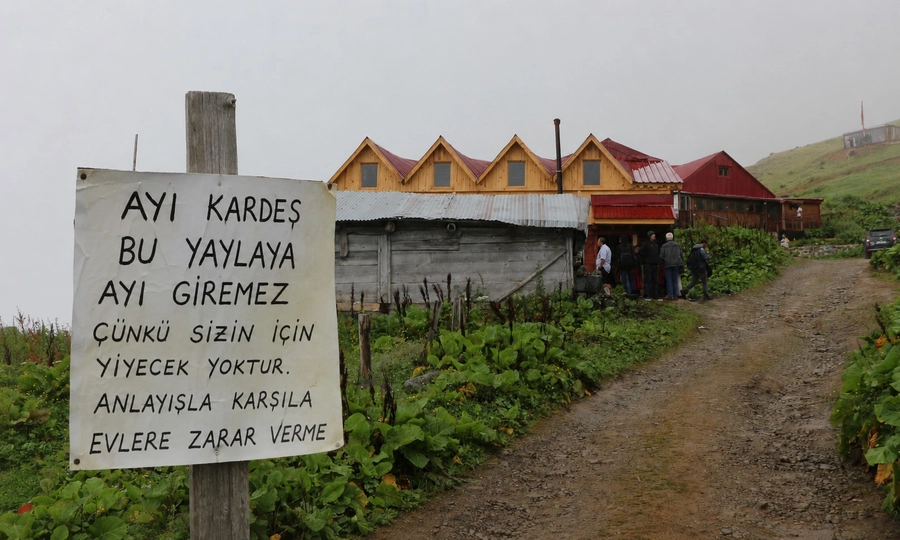 Çamlıhemşin’de Ayılara “Son Uyarı”: “Bu Yaylaya Ayı Giremez”