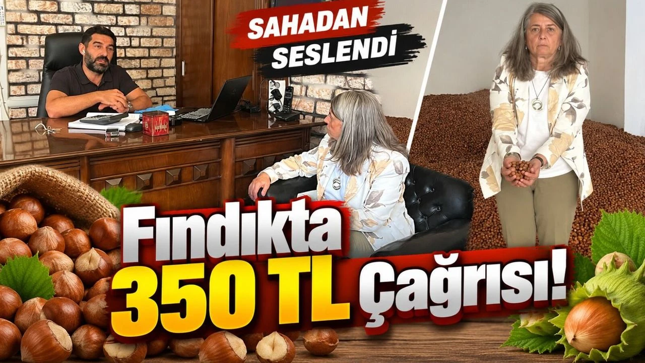 Sibel Suiçmez’den fındık fiyatlarına tepki: Üretici de tüccar da sıkıntıda