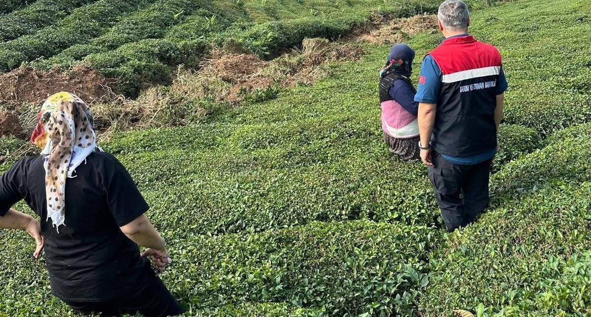 Rize’de Yoğun Yağış Sonrası Tarım Alanlarında Hasar Tespiti Başlatıldı