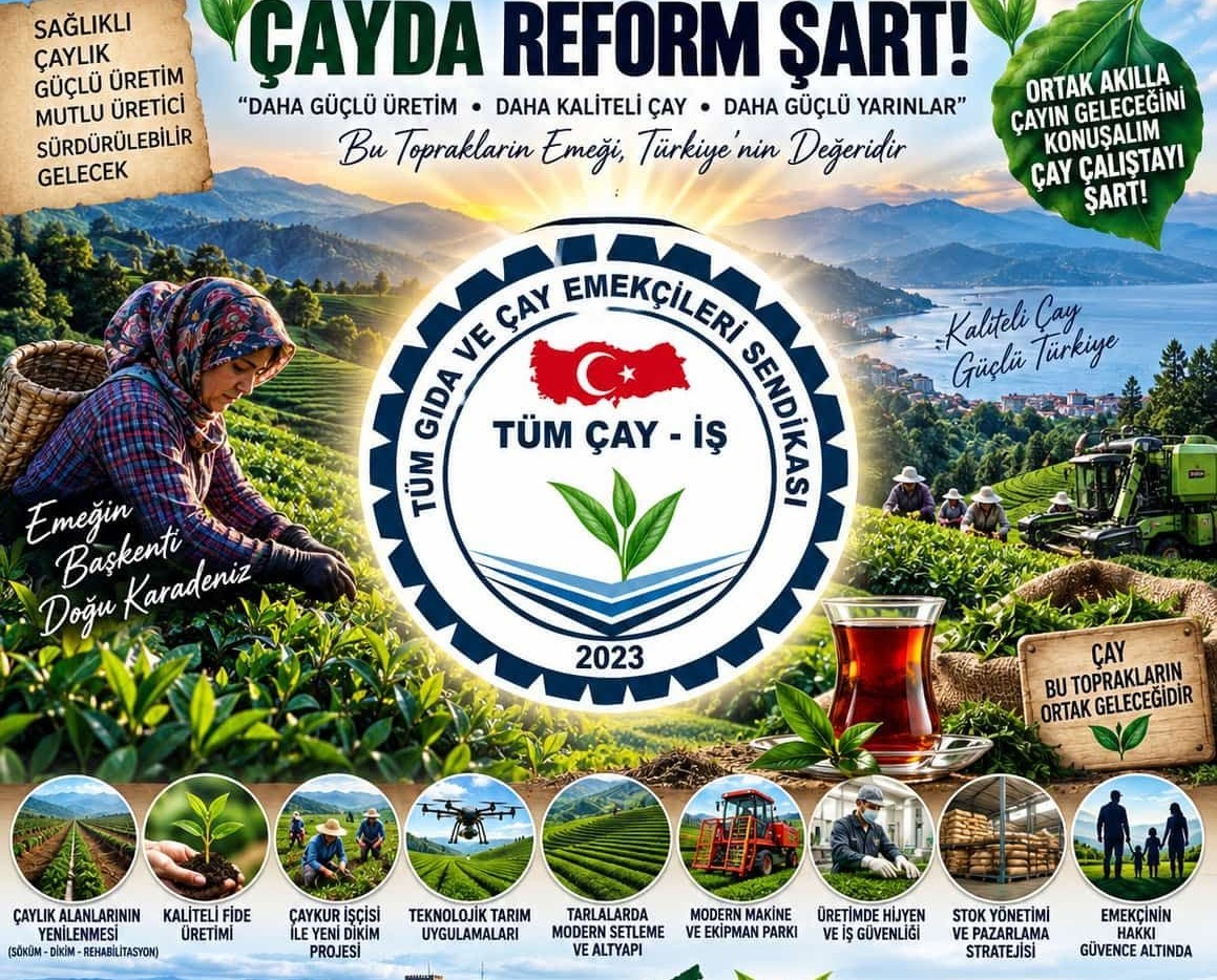 Çay-İş Sendikası’ndan ÇAYKUR’da Mevsimlik İşçiler İçin 12 Ay Çalışma Çağrısı