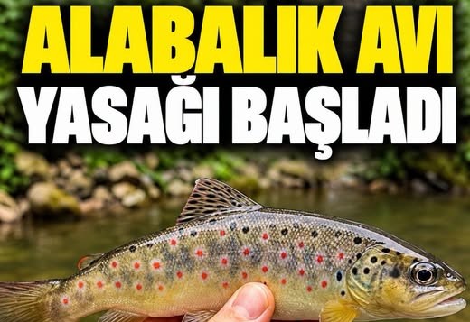 Rize’de Doğal Alabalık Avına Yasak Başladı