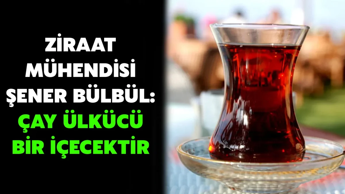Şener Bülbül'den Çay İçin İlginç İddia: